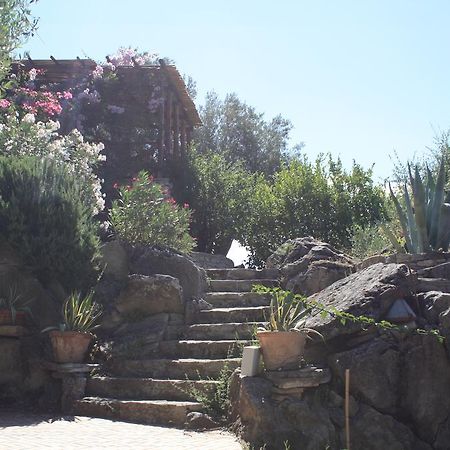 לינה וארוחת בוקר San Pantaleone Rocca Del Vento מראה חיצוני תמונה