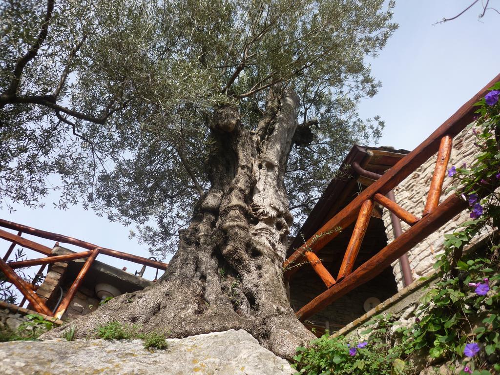 לינה וארוחת בוקר San Pantaleone Rocca Del Vento מראה חיצוני תמונה