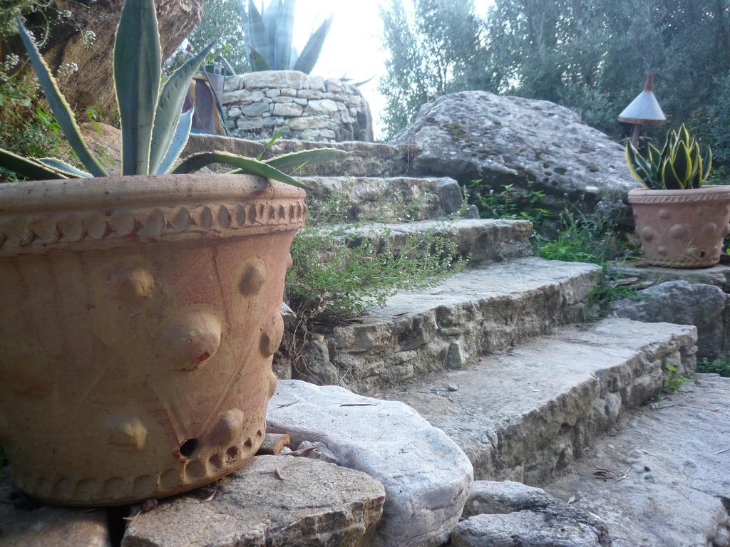 לינה וארוחת בוקר San Pantaleone Rocca Del Vento מראה חיצוני תמונה