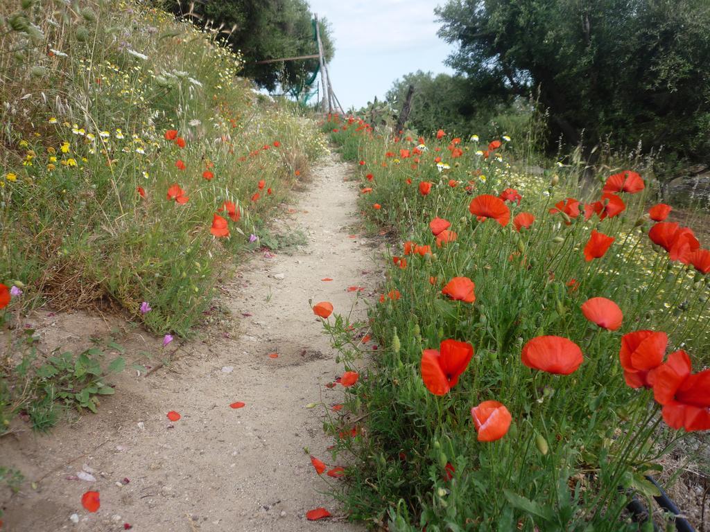 לינה וארוחת בוקר San Pantaleone Rocca Del Vento מראה חיצוני תמונה