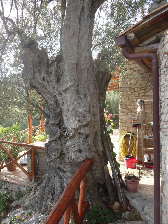 לינה וארוחת בוקר San Pantaleone Rocca Del Vento מראה חיצוני תמונה