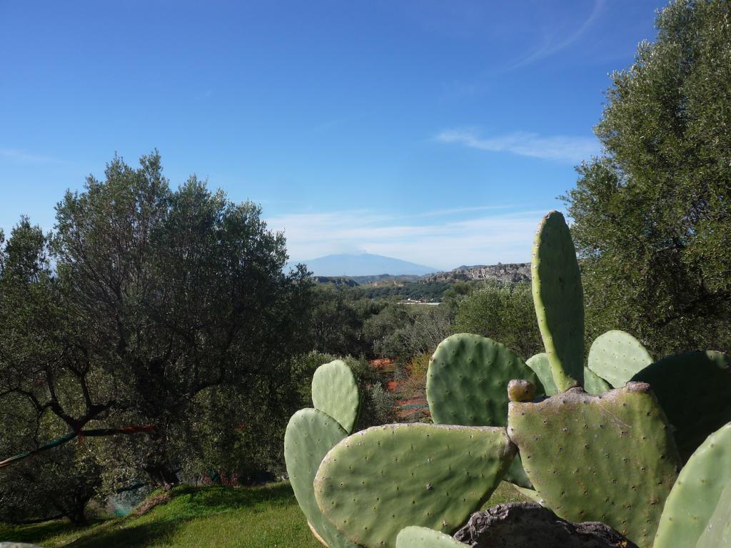 לינה וארוחת בוקר San Pantaleone Rocca Del Vento מראה חיצוני תמונה
