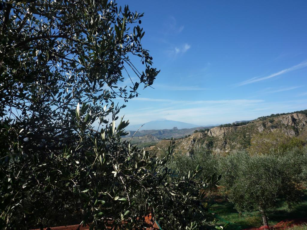 לינה וארוחת בוקר San Pantaleone Rocca Del Vento מראה חיצוני תמונה