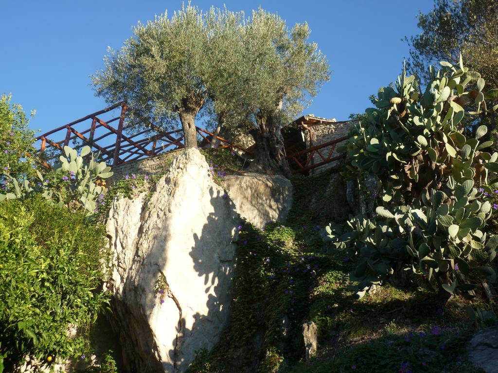 לינה וארוחת בוקר San Pantaleone Rocca Del Vento מראה חיצוני תמונה