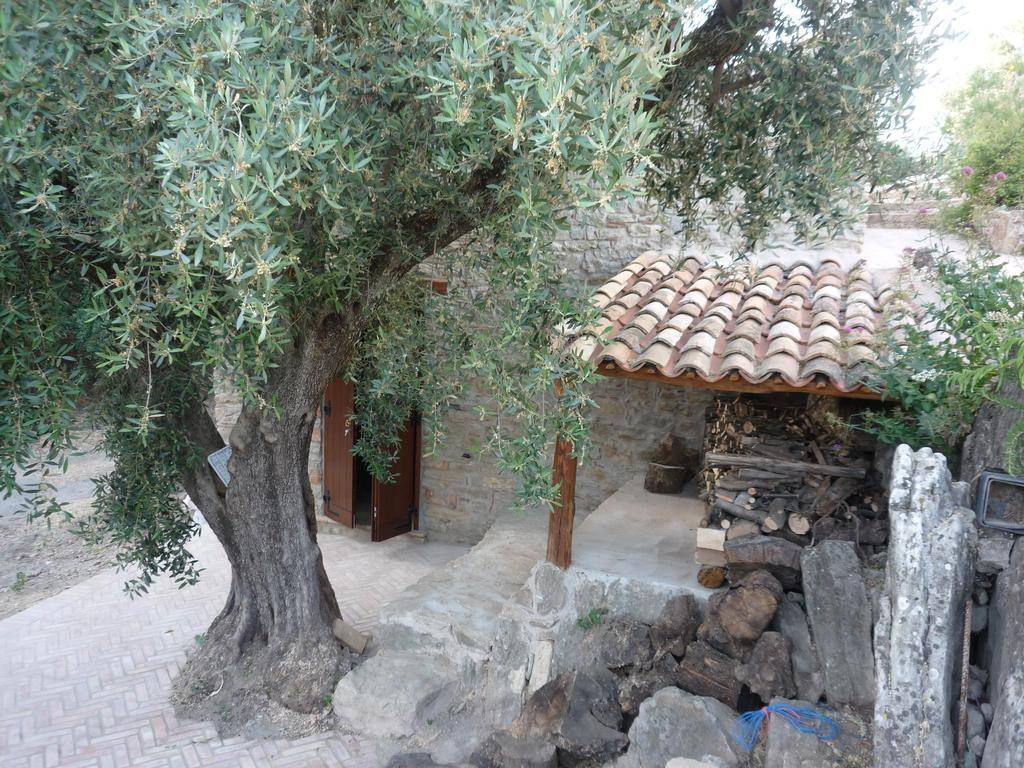 לינה וארוחת בוקר San Pantaleone Rocca Del Vento מראה חיצוני תמונה