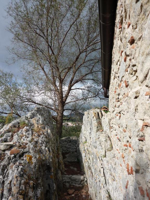 לינה וארוחת בוקר San Pantaleone Rocca Del Vento חדר תמונה
