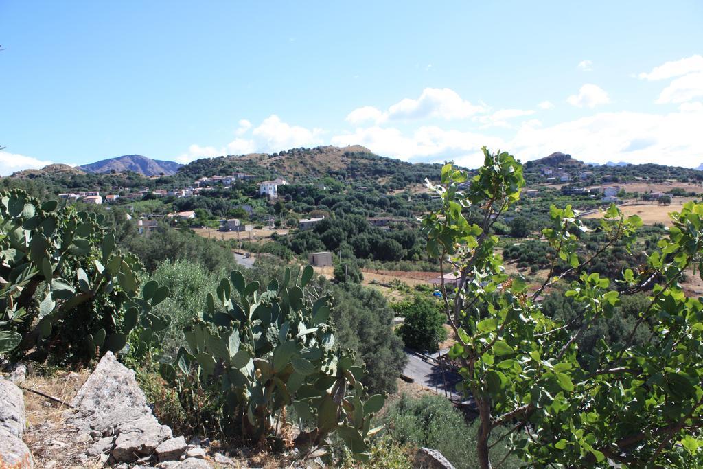 לינה וארוחת בוקר San Pantaleone Rocca Del Vento מראה חיצוני תמונה