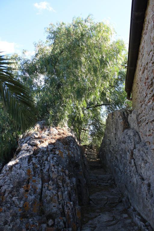 לינה וארוחת בוקר San Pantaleone Rocca Del Vento מראה חיצוני תמונה
