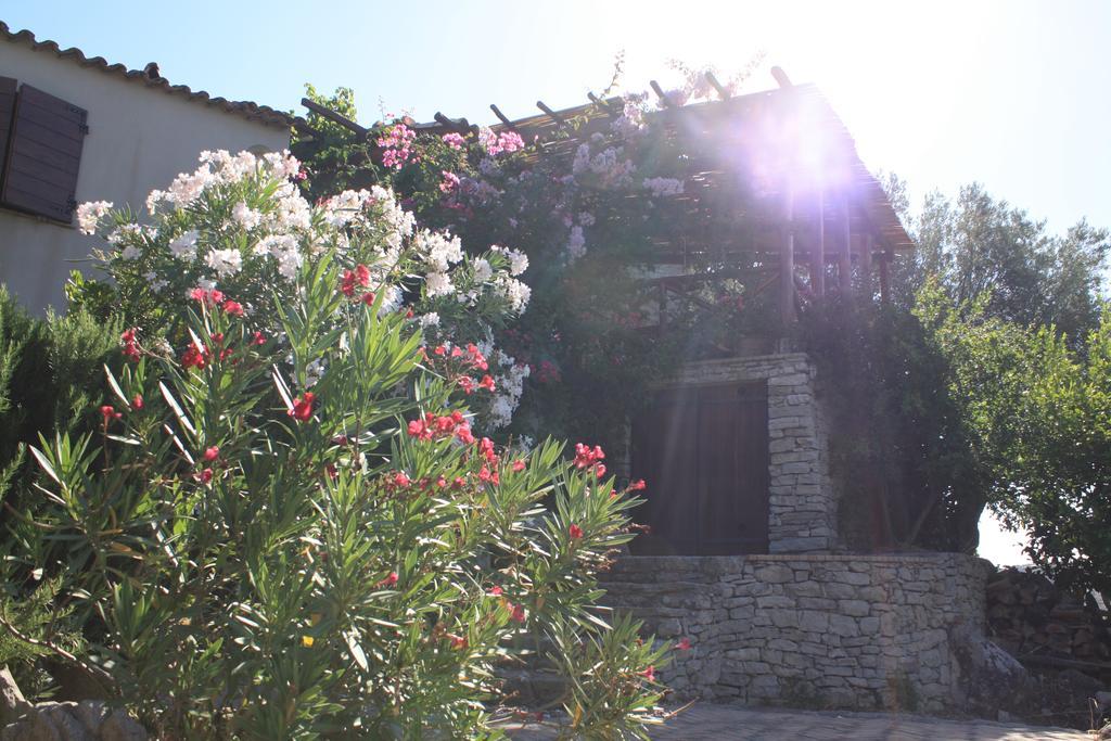 לינה וארוחת בוקר San Pantaleone Rocca Del Vento מראה חיצוני תמונה